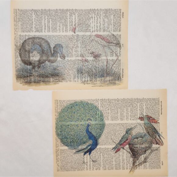 Bird Dictionary Prints 2, Colorful Bird Prints, Book Page Prints - Picture 2 of 6